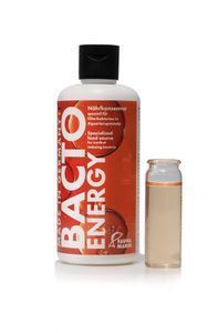 Bacto Energy Nährkonzentrat speziell für Filterbakterien (500 ml)