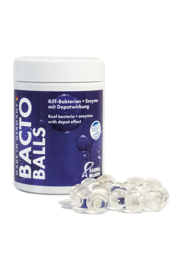 Bacto Reef Balls Riff-Bakterien + Enzyme mit Depotwirkung (100 ml)