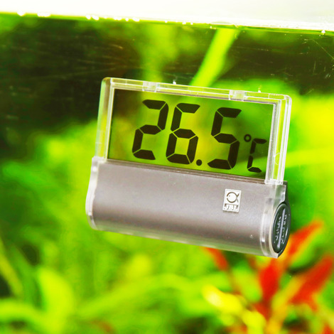 JBL Aquarien-Thermometer DigiScan